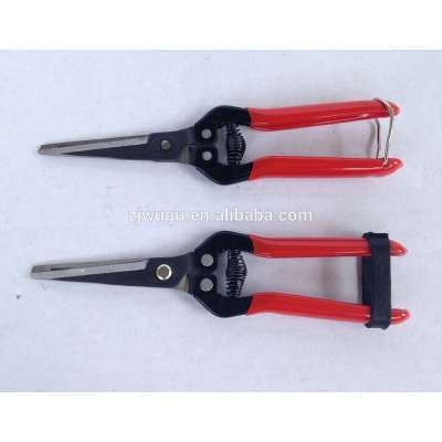 ISO9001 Garden tool Popular Fruit and flower shear